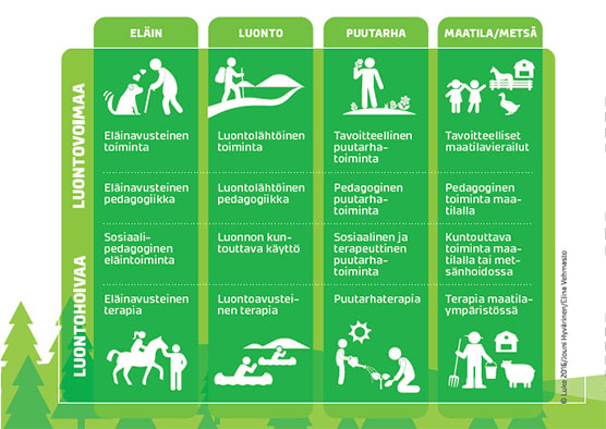 Green Care kaavio